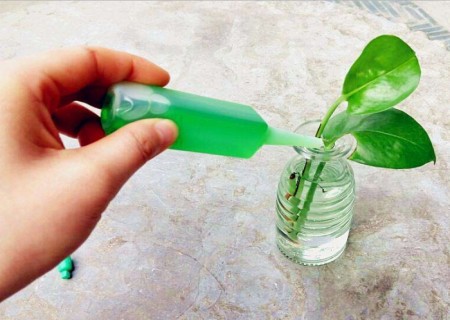 江門綠勁植物營(yíng)養(yǎng)液